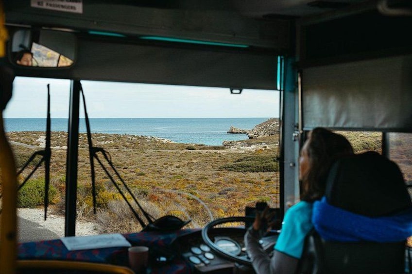 Rottnest Island Full-Day Trip With Island Tour from Hillarys 2