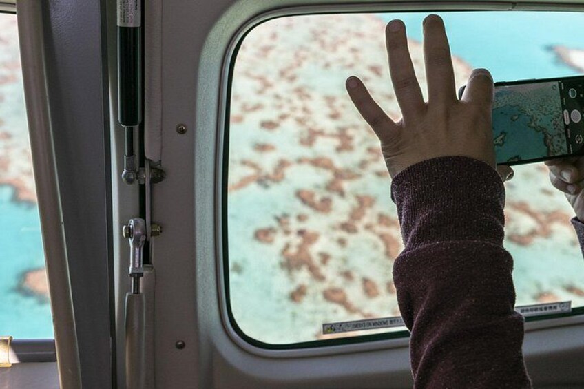 Large Windows 3