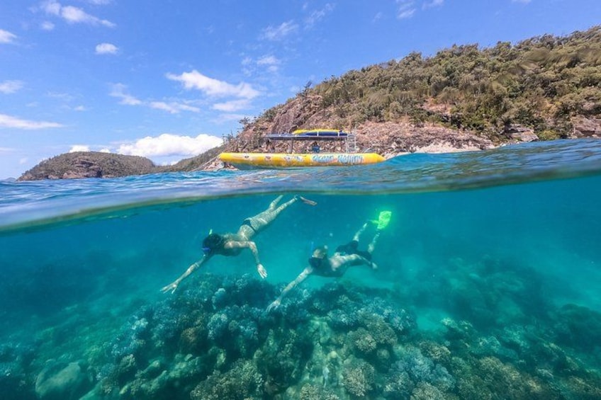 Amazing snorkelling sites 2