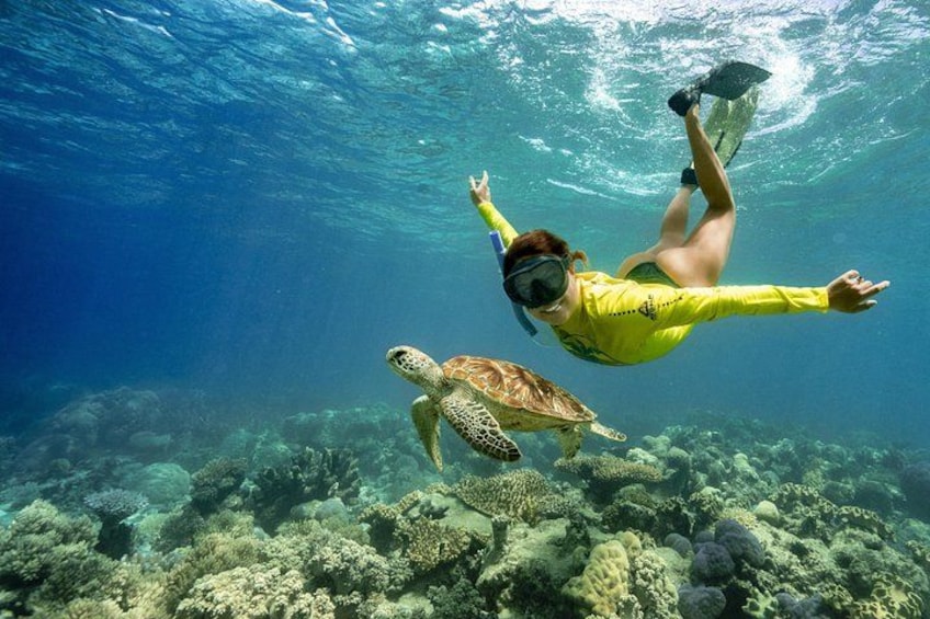 A diver in yellow swimming with a sea turtle underwater. 1