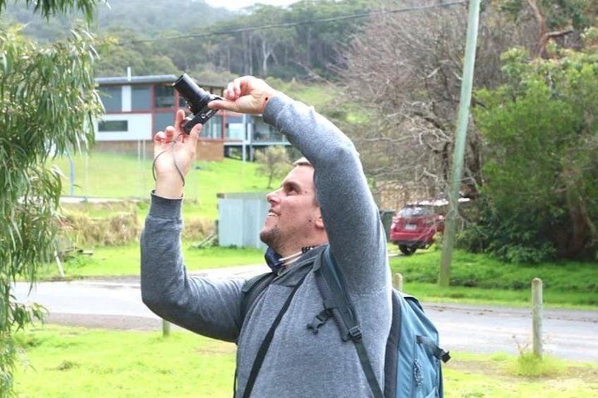 Full-Day Great Ocean Road and 12 Apostles Sunset Tour from Melbourne 5