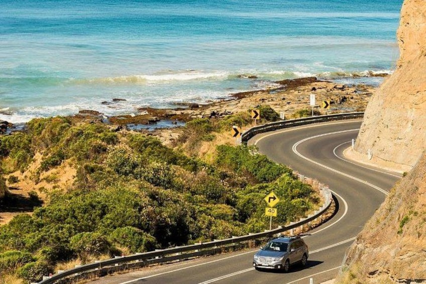 Full-Day Great Ocean Road and 12 Apostles Sunset Tour from Melbourne 4