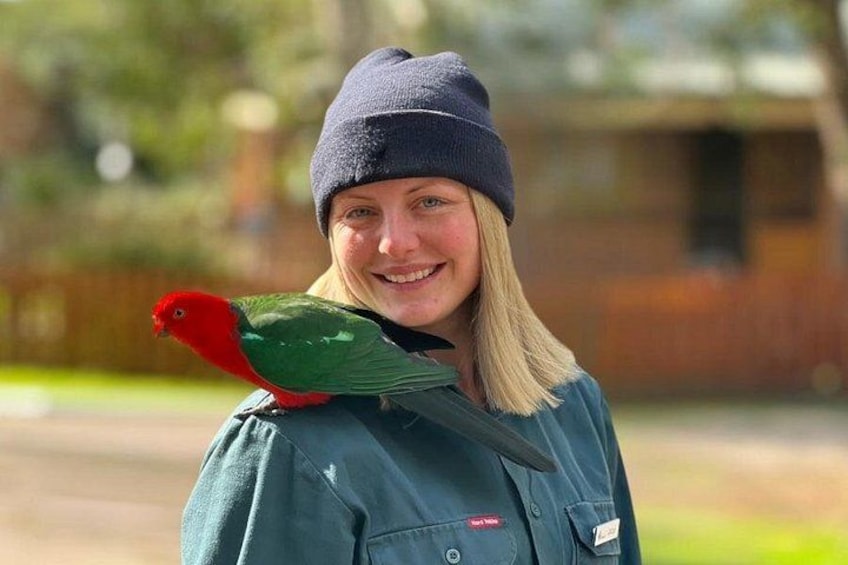 A person holding a parrot. 4