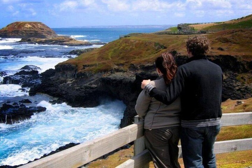 Phillip Island Penguin Parade Express Tour from Melbourne 5