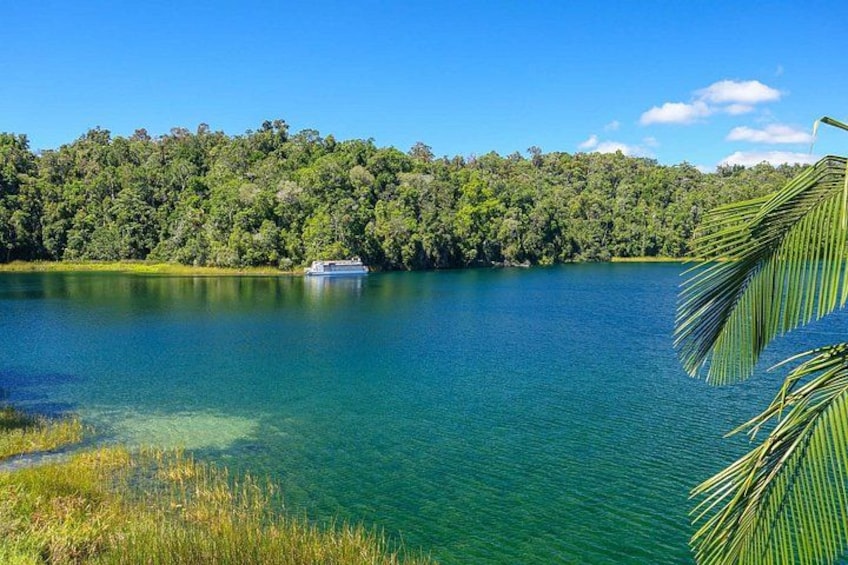 Wildlife Cruise at Lake Barrine 2