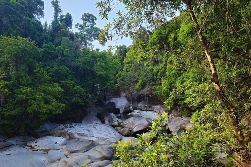 Day Tour to Paronella Park, Lake Barrine and Millaa Millaa Falls 4