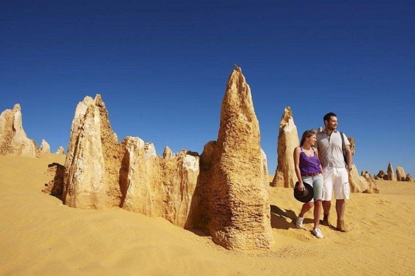 Half Day Pinnacles Sunset Tour 2
