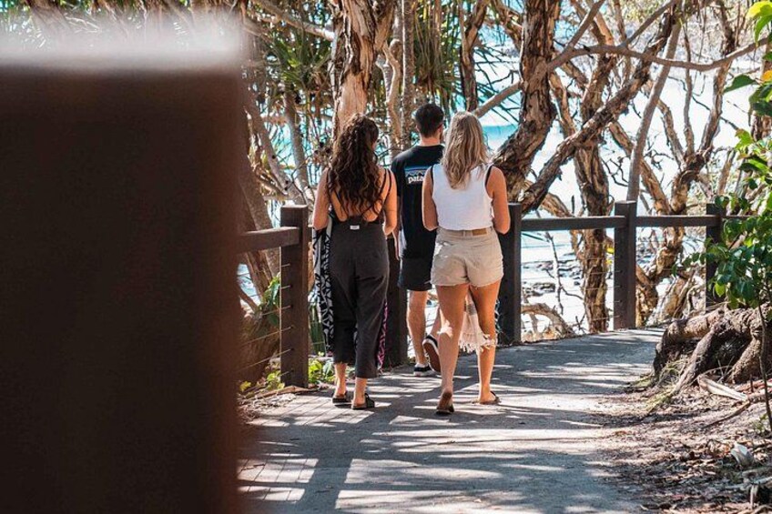 Winding through Noosa National Park’s lush coastal track—shady trails with ocean peeks. 2
