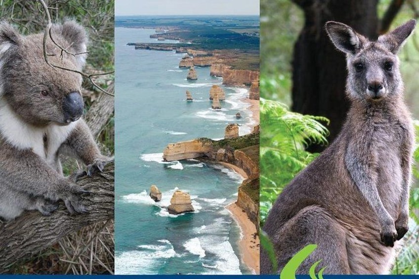 A koala, a coastal landscape with cliffs, and a kangaroo. 1