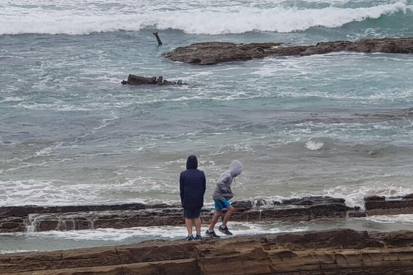 Great Ocean Road Ultimate Two Day Tour 4