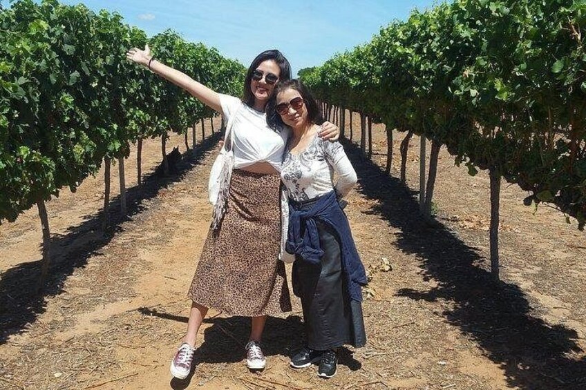 Walk amongst the vines in the beautiful Swan Valley region 3
