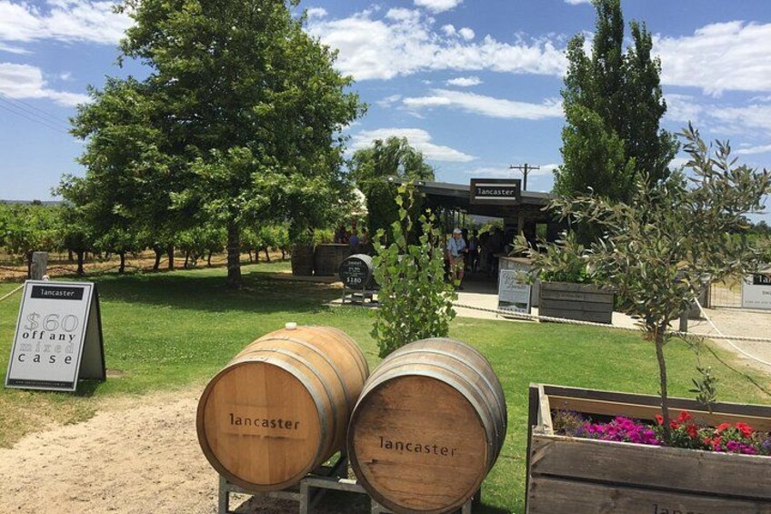 Two wooden barrels labeled 'Lancaster' in a vineyard setting with a sign offering a discount. 1