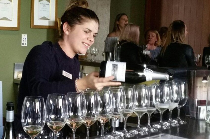 wine tasting 2