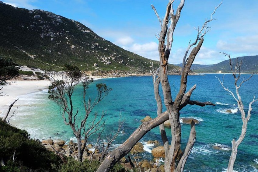 Stunning coastal views 1