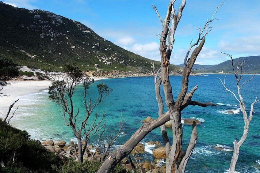 Stunning coastal views 2