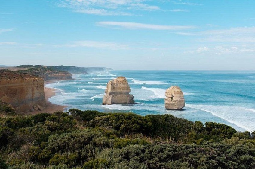 12 Apostles, Otways & Great Ocean Road Day Tour - Small Group 5