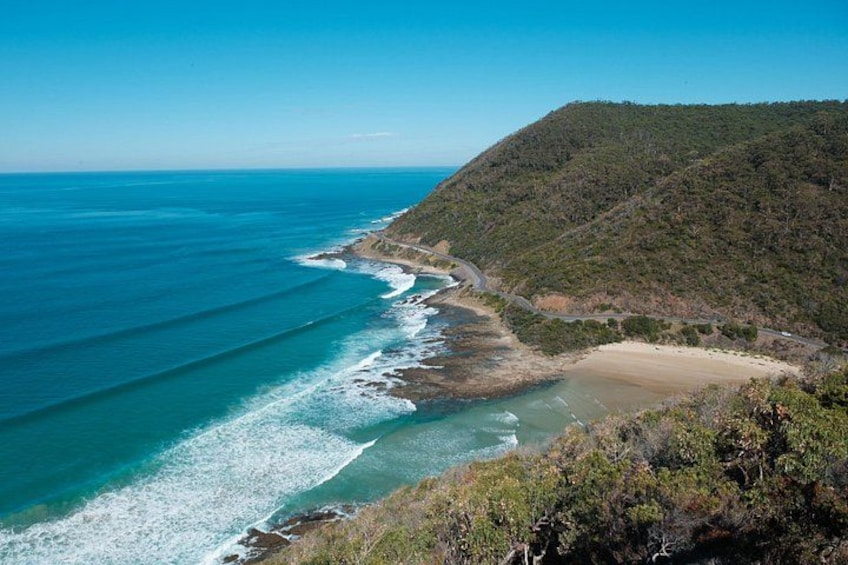 12 Apostles, Otways & Great Ocean Road Day Tour - Small Group 2