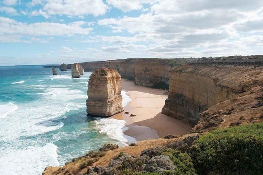 12 Apostles, Otways & Great Ocean Road Day Tour - Small Group 4