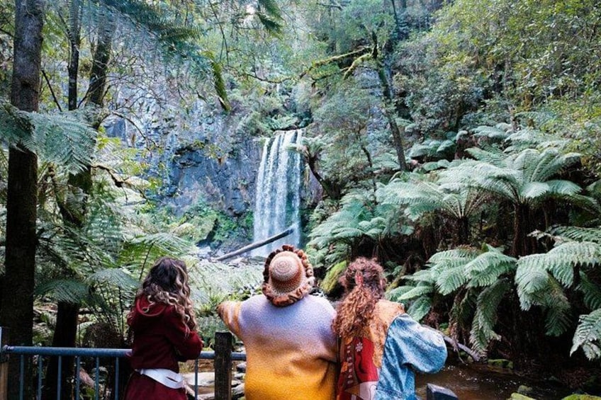 12 Apostles, Otways & Great Ocean Road Day Tour - Small Group 5