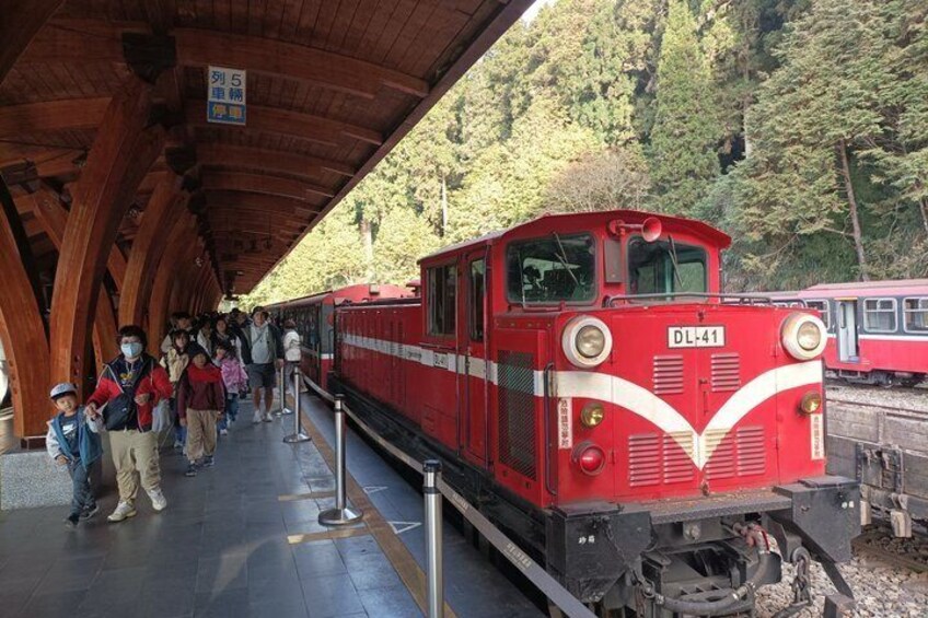 Two-day Sun Moon Lake & Alishan Forest Park Tour Package 2