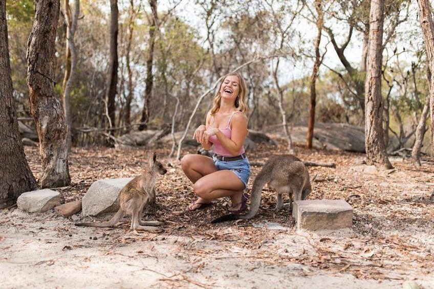 Luxury Hunter Valley Wildlife & Wine Tasting Tour from Sydney 2