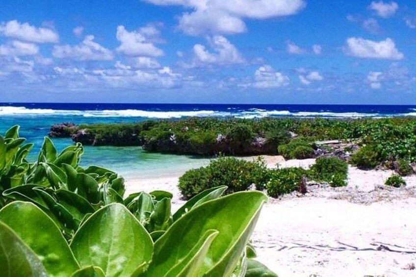 Una playa con arena blanca, vegetación verde y el océano al fondo. 2