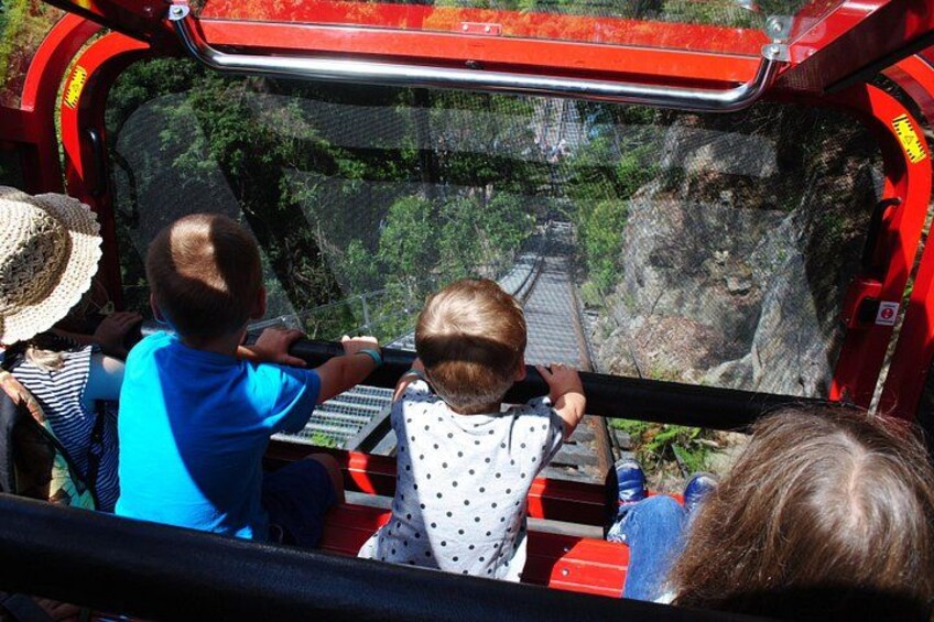 Blue Mountains Hop On Hop Off Tour 3