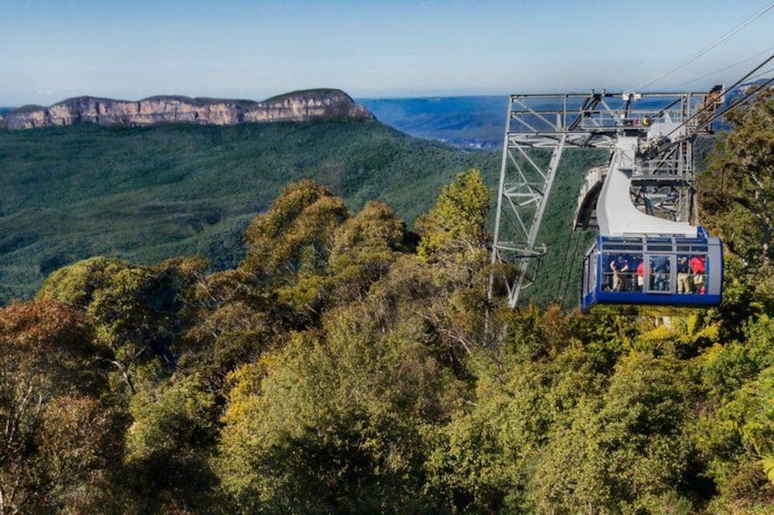 Blue Mountains Hop On Hop Off Tour 5