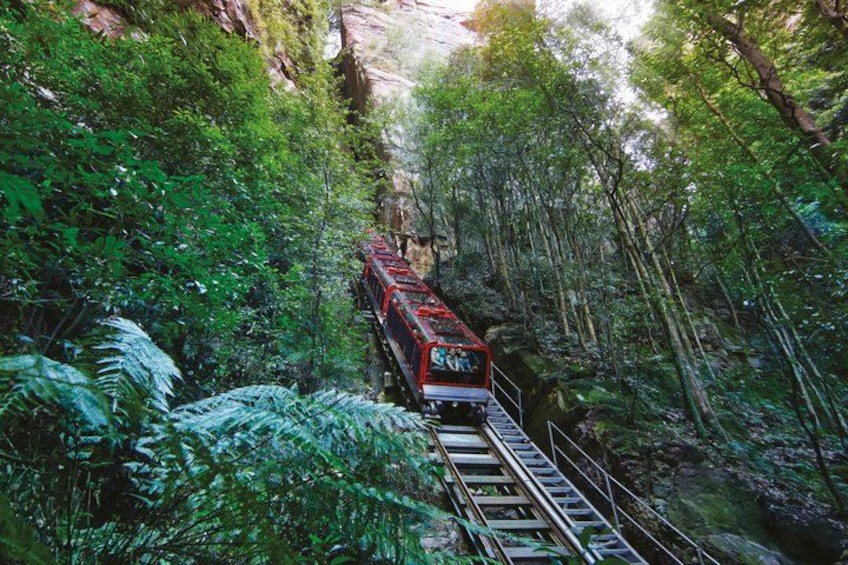 Blue Mountains Hop On Hop Off Tour 3