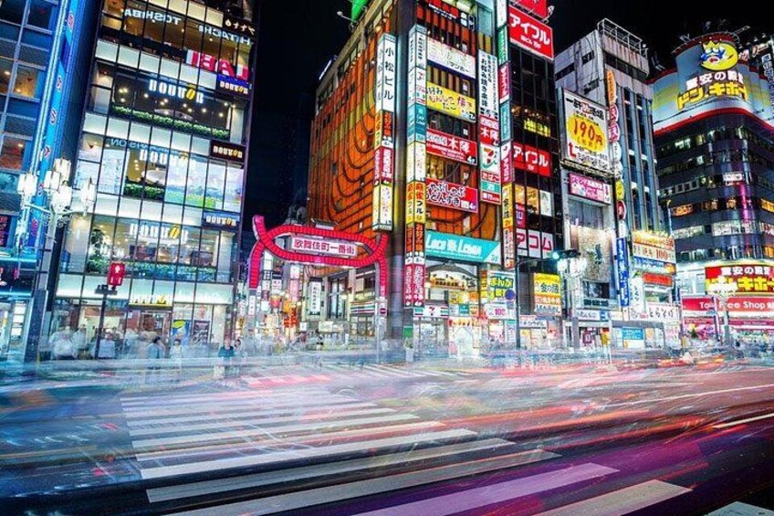 Shinjuku Neon Lights 5