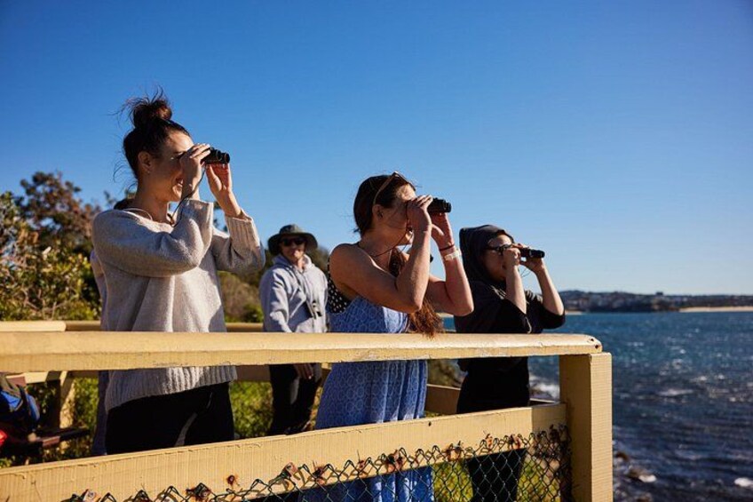 Small Group Manly Snorkel Tour and Nature Walk with Local Guide 5