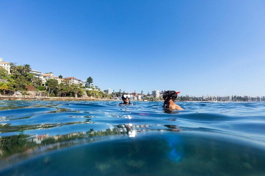 Small Group Manly Snorkel Tour and Nature Walk with Local Guide 2