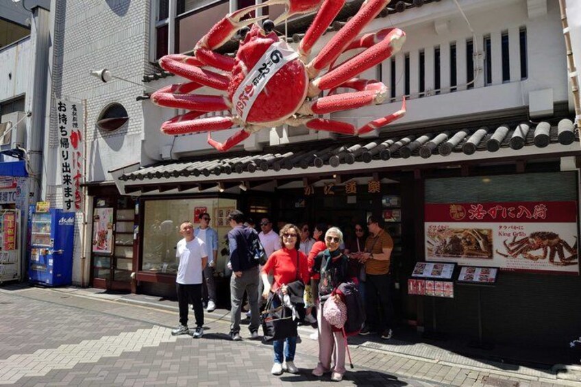 Osaka Customized Half-Day Tour with Licensed Local Guide 5