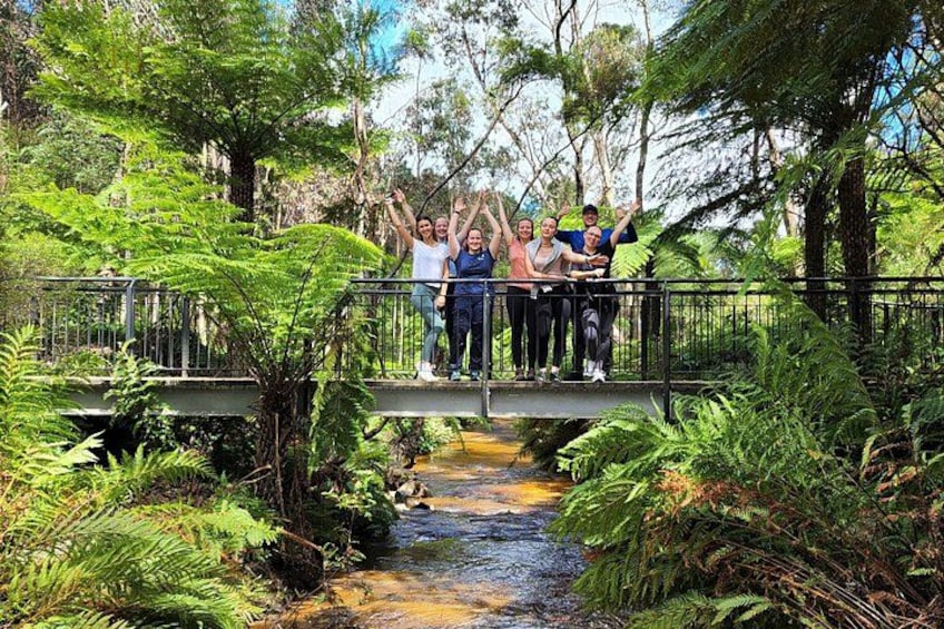 Blue Mountains Small Group Tour with Waterfall Walk & Fresh Lunch 2