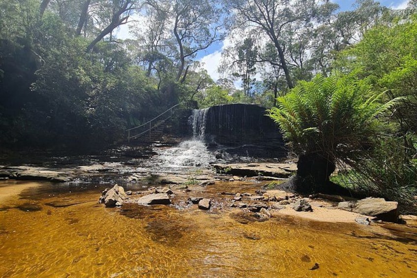 Blue Mountains Small Group Tour with Waterfall Walk & Fresh Lunch 3