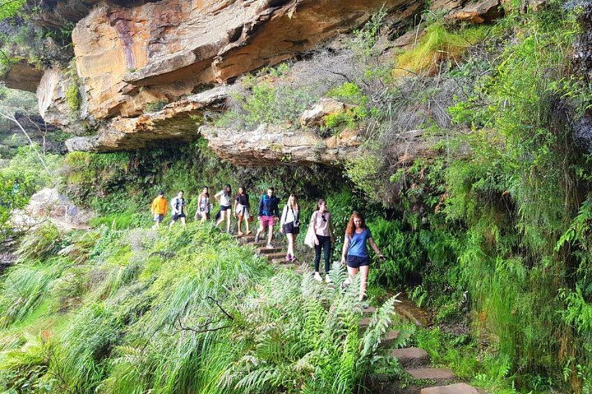 90 minute waterfall/nature walk 4