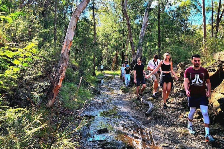 90 minute waterfall/nature walk 4