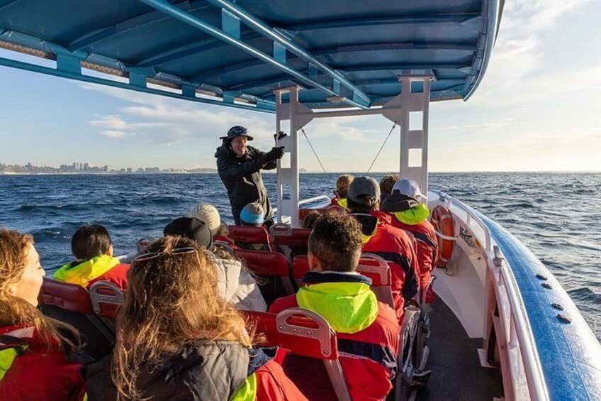 Spotting humpback whales 4
