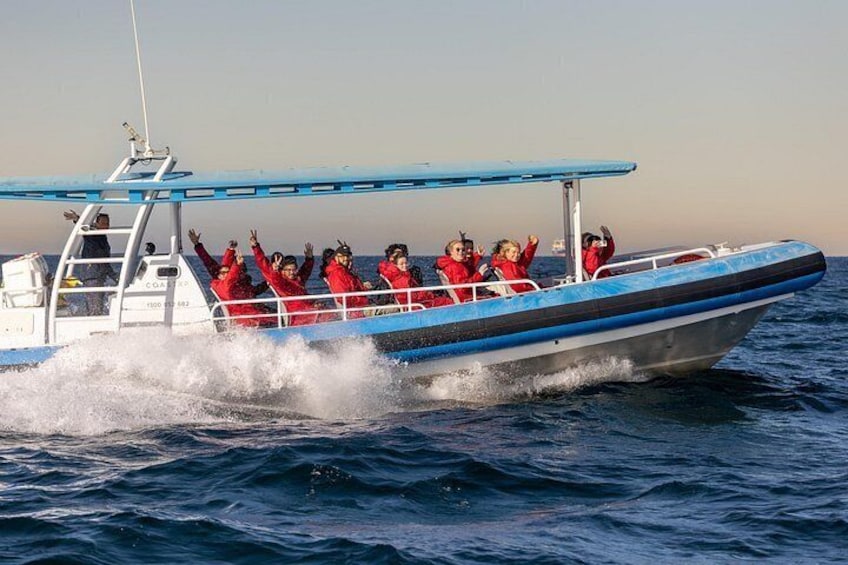 Adventure Boat Cruise 4