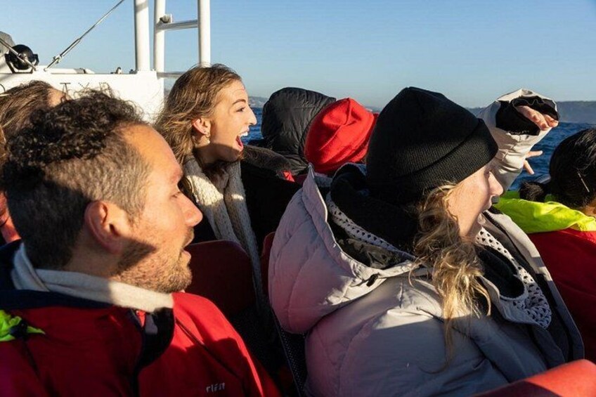 Spotting whales 5