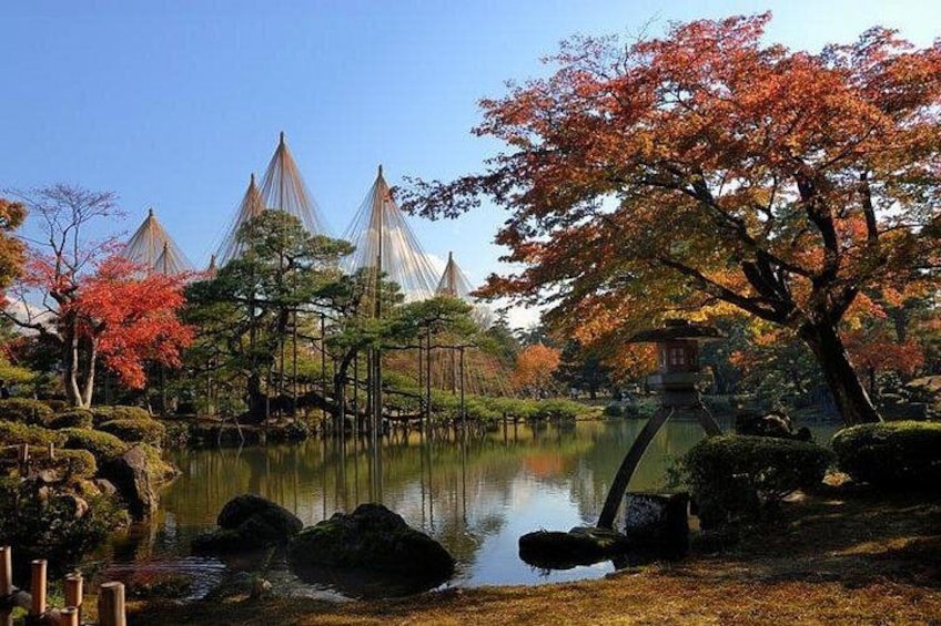 En fridfull japansk trädgård med en damm, höstlövsverk och traditionella, konformade byggnader. 3
