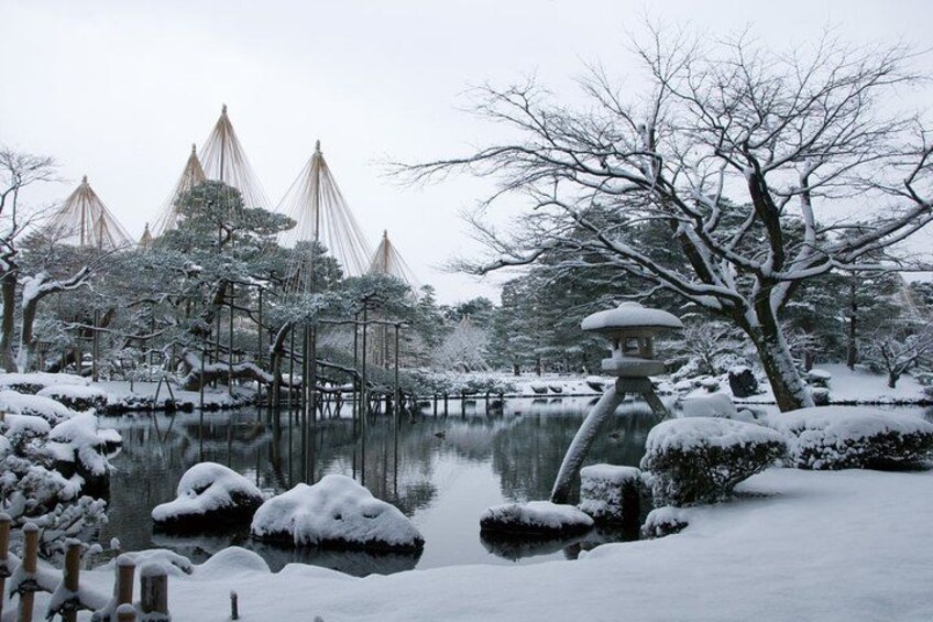 Kanazawa Full Day Tour (Private Guide) 2