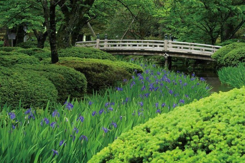 Kanazawa Full Day Tour (Private Guide) 5