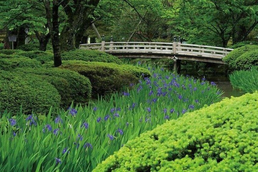Kanazawa Full Day Tour (Private Guide) 5