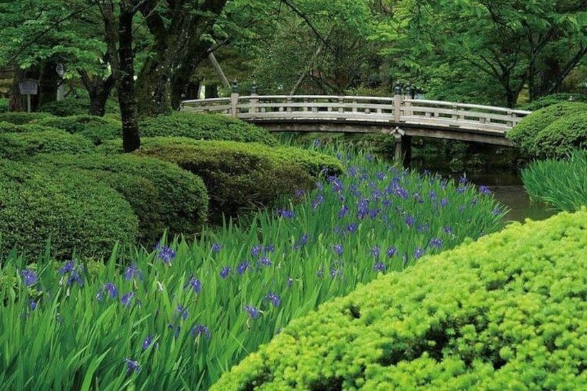 Kanazawa Full Day Tour (Private Guide) 3