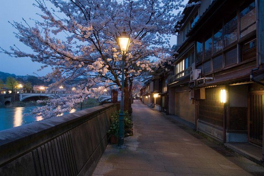 Kanazawa Night Tour with Local Meal and Drinks 5