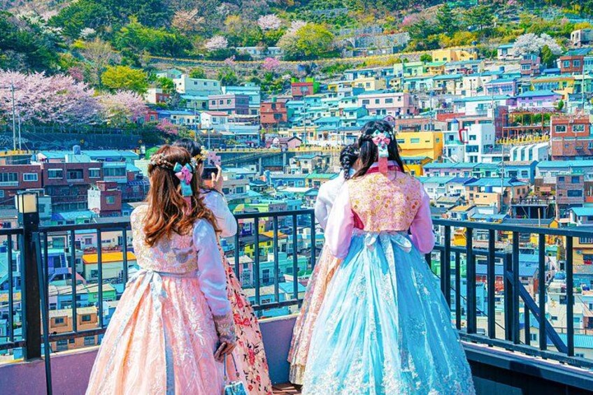 The Real Busan: Bamboo Forest, Coast and Local Life Full Day Tour 5
