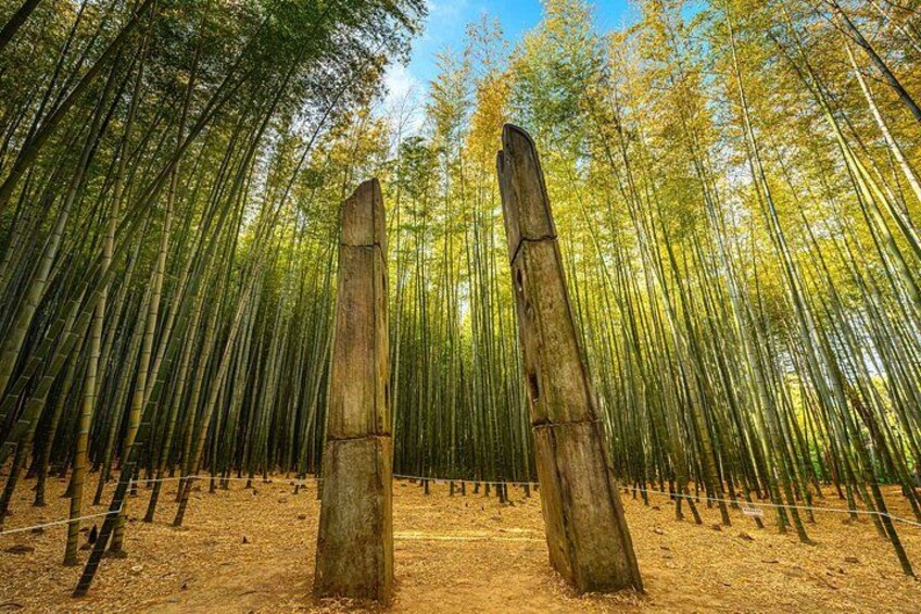 The Real Busan: Bamboo Forest, Coast and Local Life Full Day Tour 2