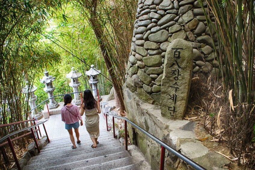 The Real Busan: Bamboo Forest, Coast and Local Life Full Day Tour 4