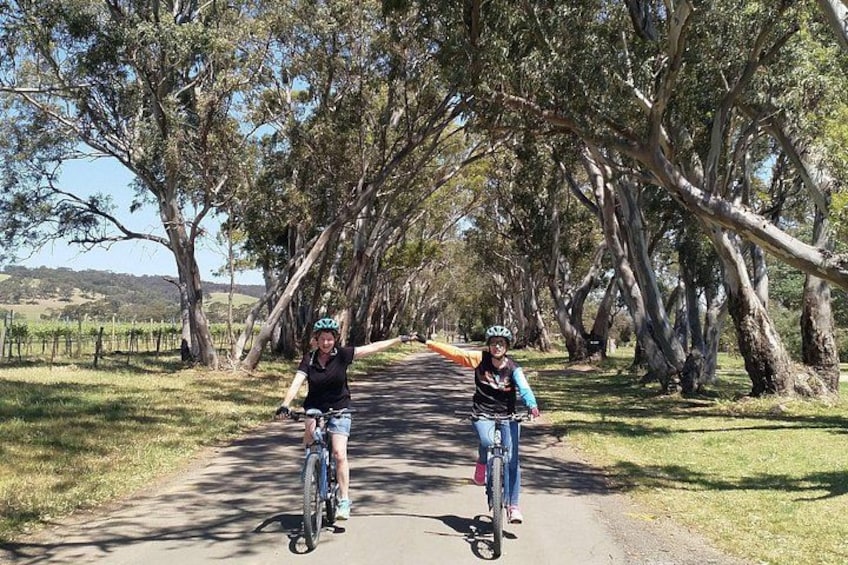 McLaren Vale Wine Tour by E-Bike (Private & Small Group) 3